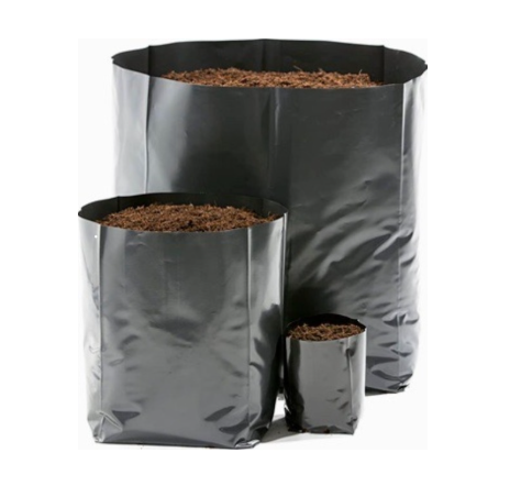 Bolsas para almacigo