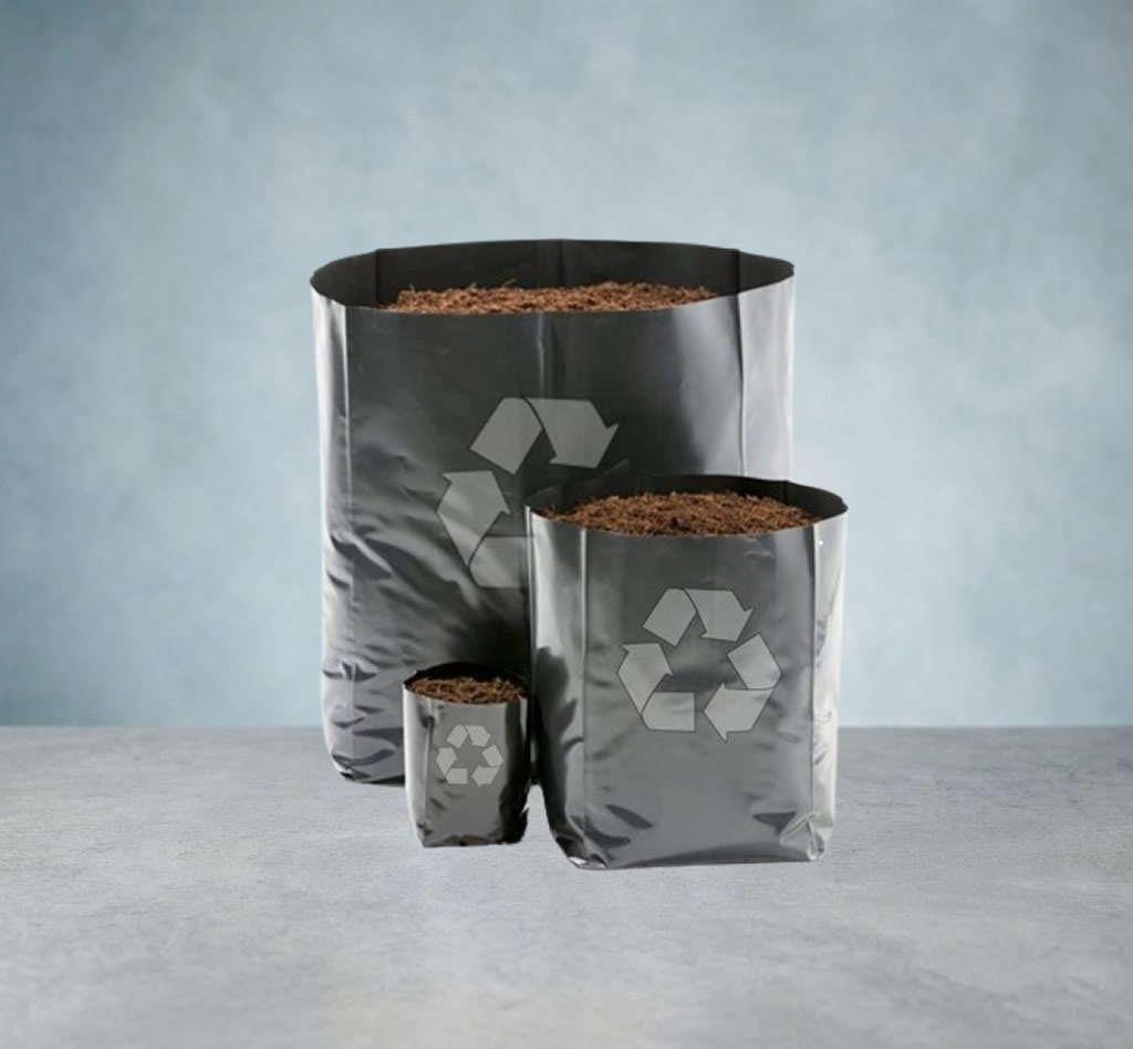 BOLSAS PARA AGRICULTURA ALMACIGO  12x20